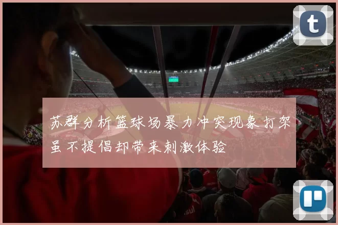 苏群分析篮球场暴力冲突现象打架虽不提倡却带来刺激体验