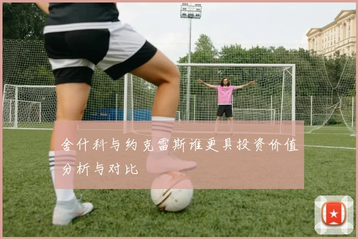 舍什科与约克雷斯谁更具投资价值分析与对比