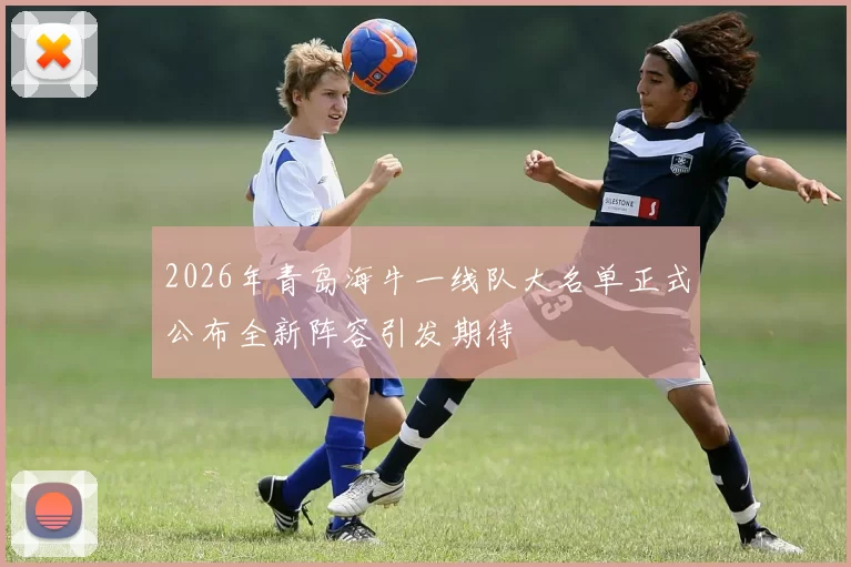 2026年青岛海牛一线队大名单正式公布全新阵容引发期待