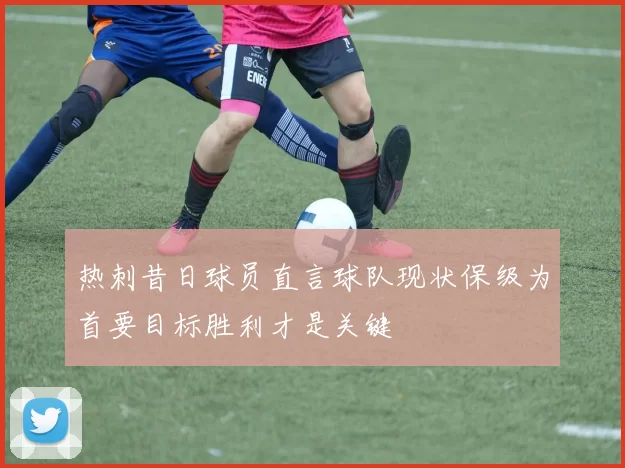 热刺昔日球员直言球队现状保级为首要目标胜利才是关键